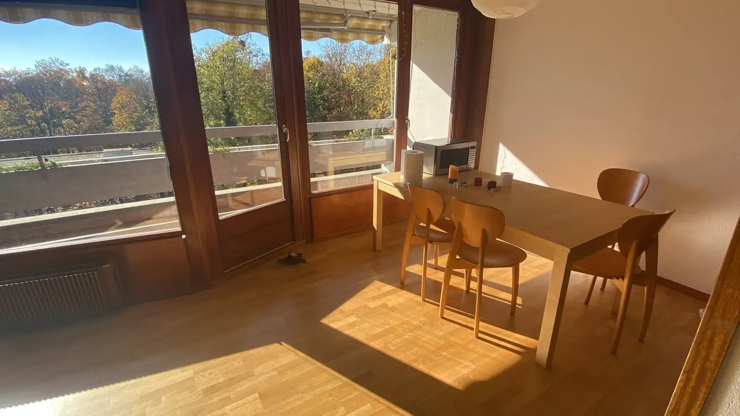 Appartamento in affitto - Avenue Du Delay, 1110 Morges - Photo 2