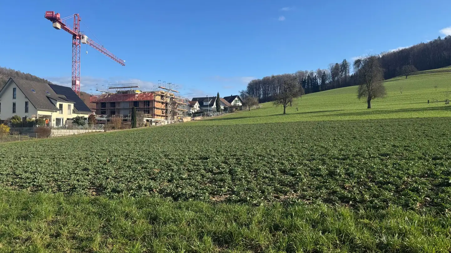 Attique à vendre - Obstgartenstrasse, 8187 Weiach