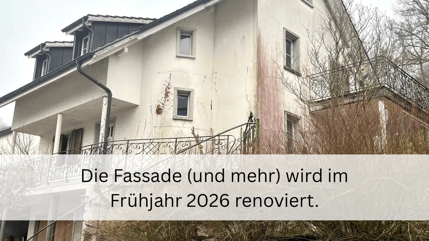 Single house for rent - 5430 Wettingen