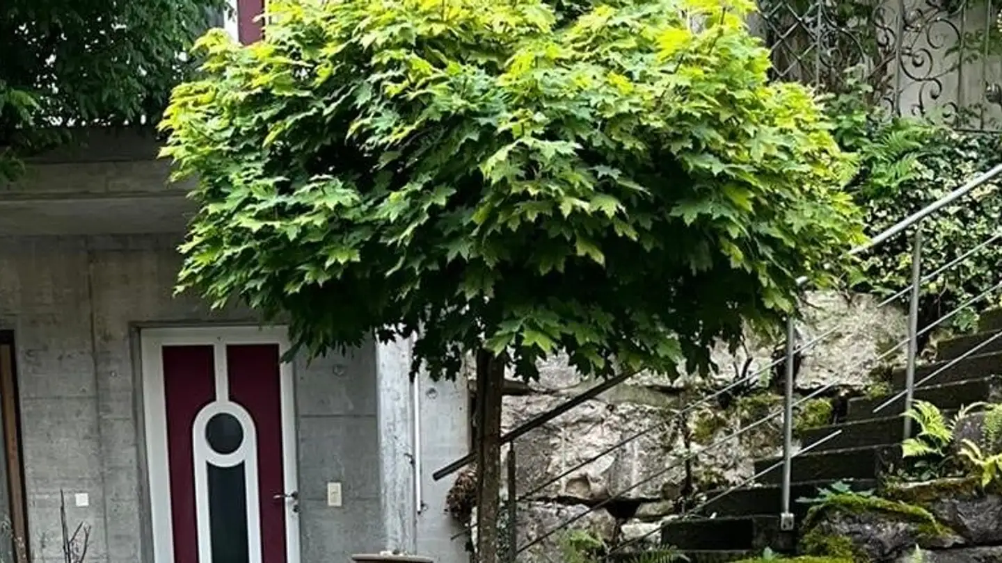 Single house for rent - 5430 Wettingen - Photo 2