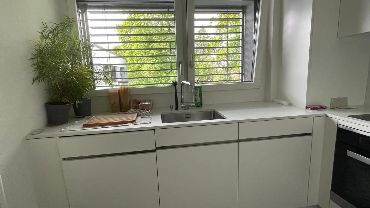 Appartamento in affitto - Palmstrasse 30, 8400 Winterthur - Foto 3