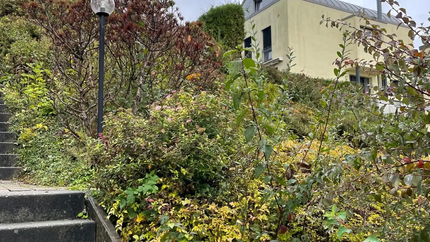 Single house for rent - Kirchtalstrasse 35d, 5703 Seon