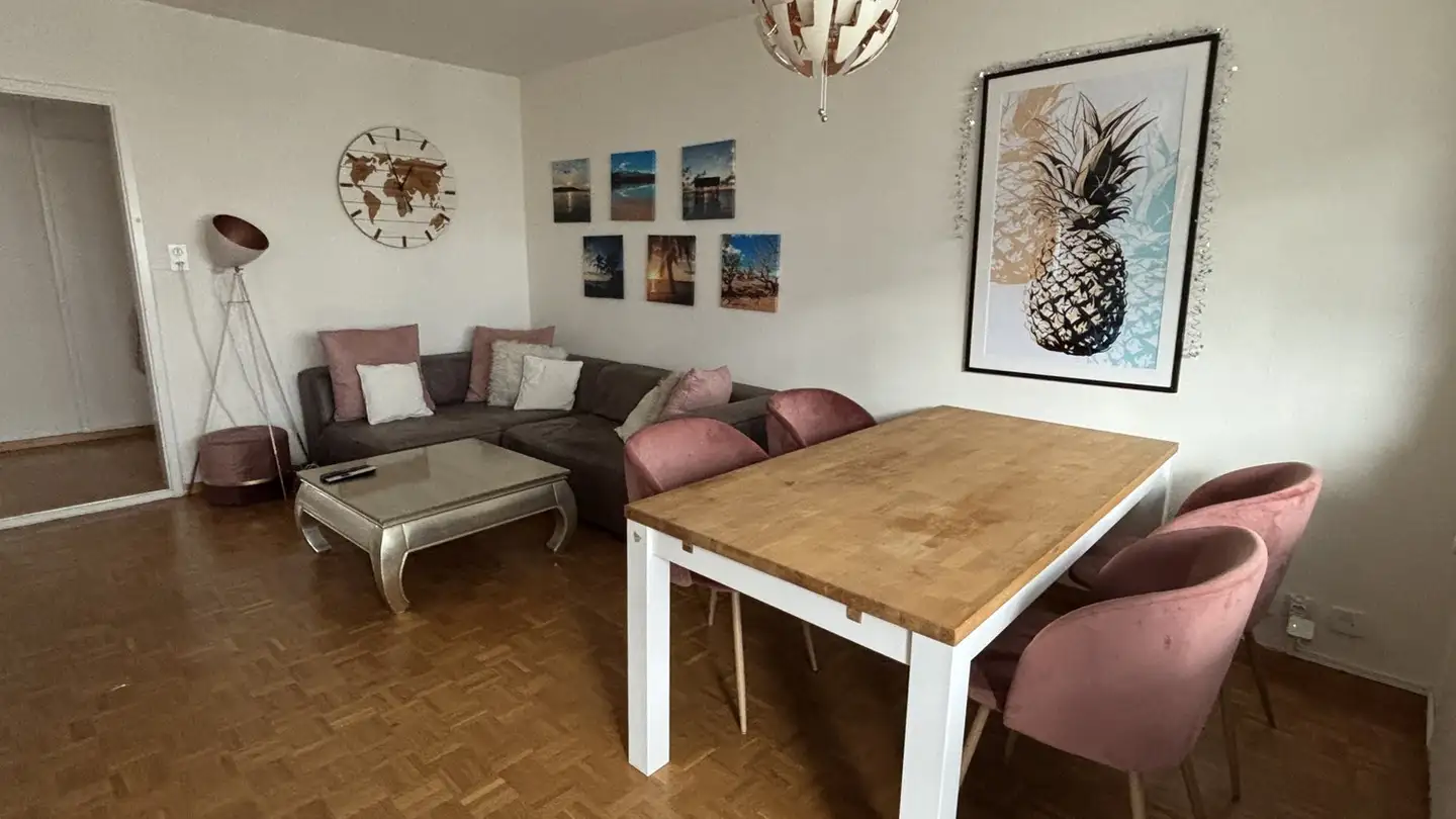 Appartement à louer - 8047 Zürich