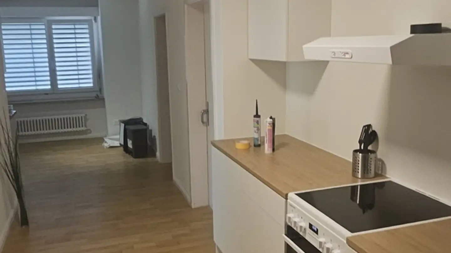 Single room for rent - 8055 Zürich