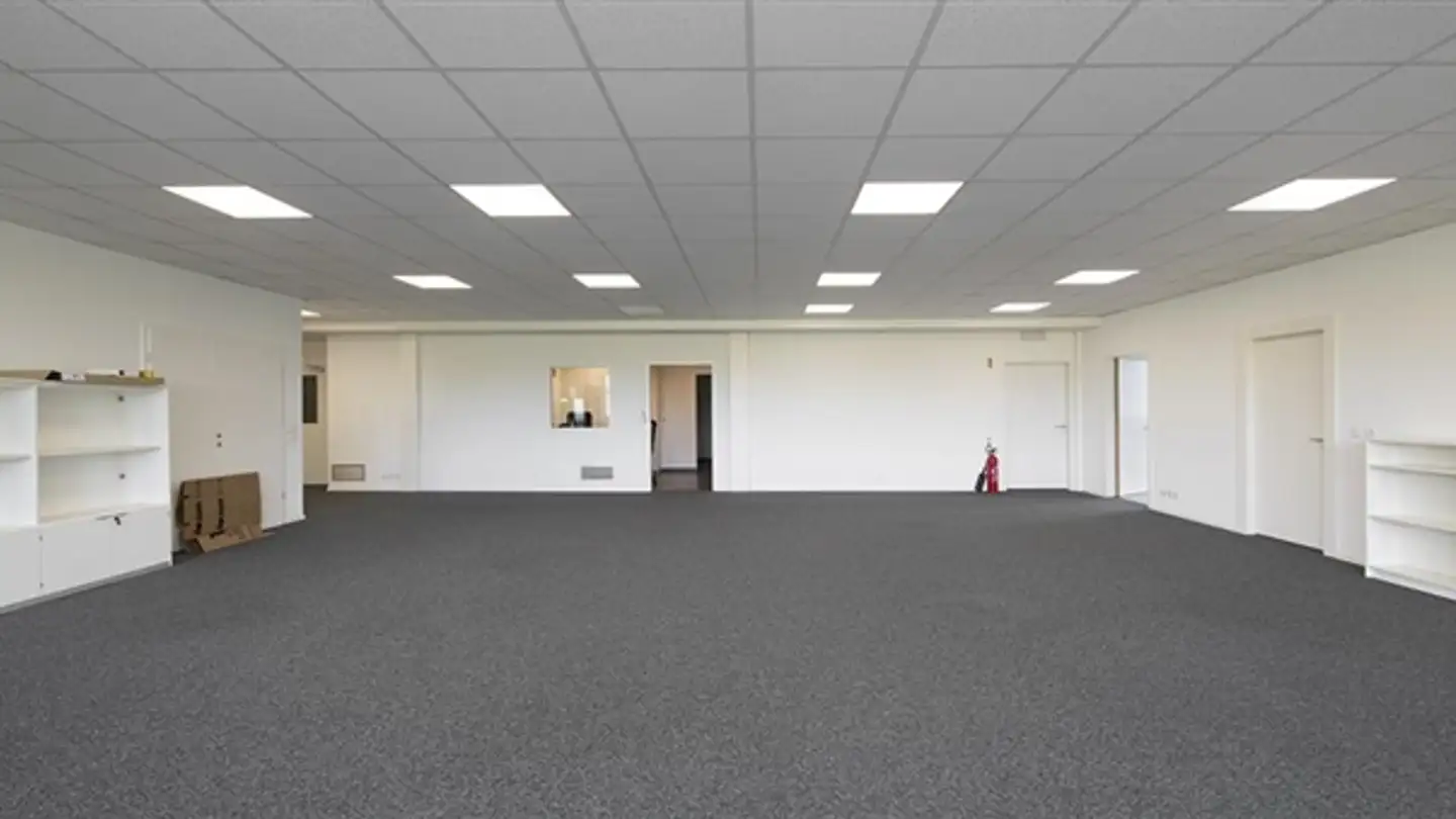 Appartamento in affitto - Chemin Des Aulx 12, 1228 Plan-les-Ouates - Foto 3