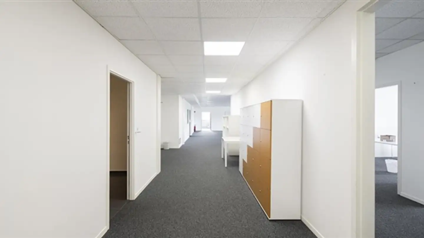 Appartamento in affitto - Chemin Des Aulx 12, 1228 Plan-les-Ouates - Foto 4