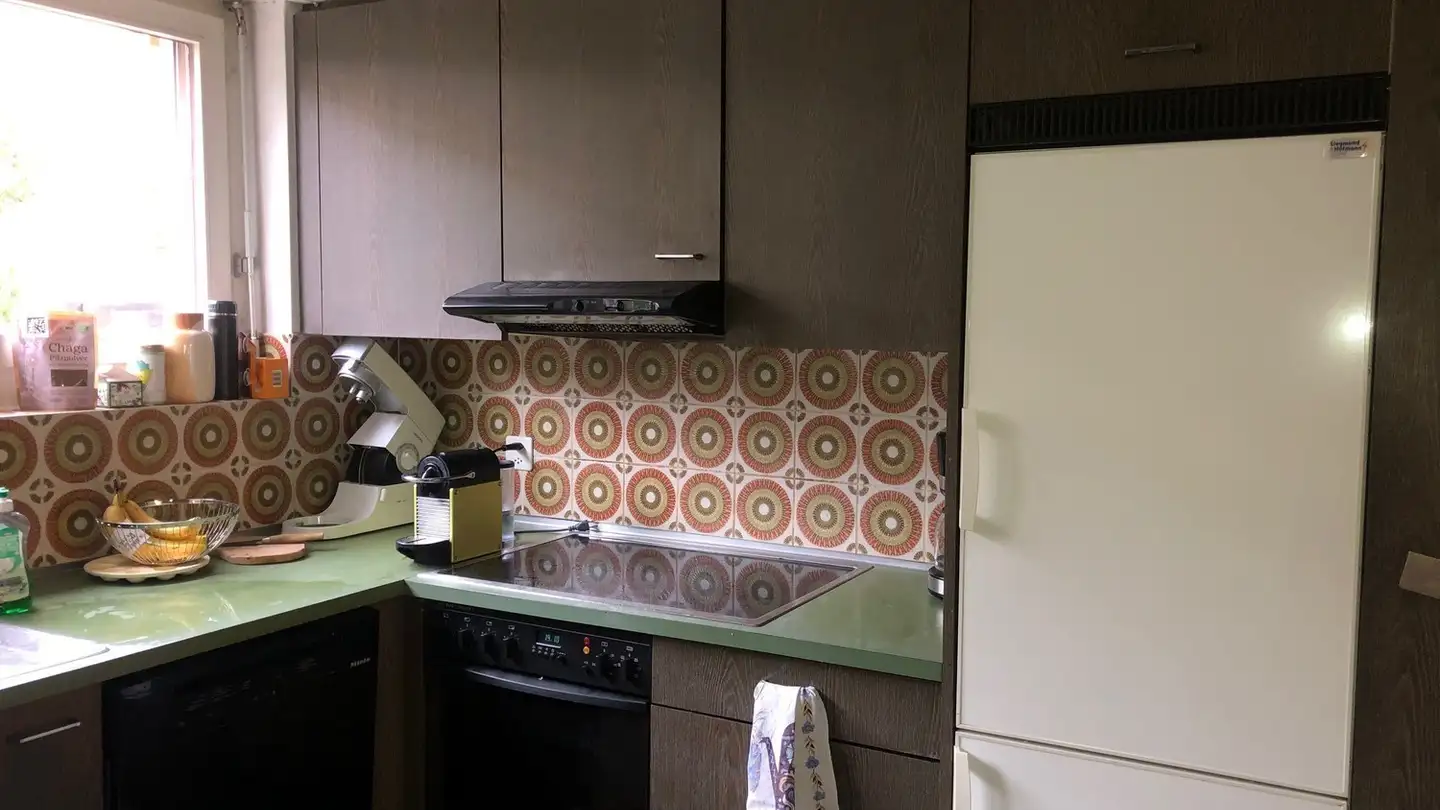 Single room for rent - 4153 Reinach BL - Photo 3