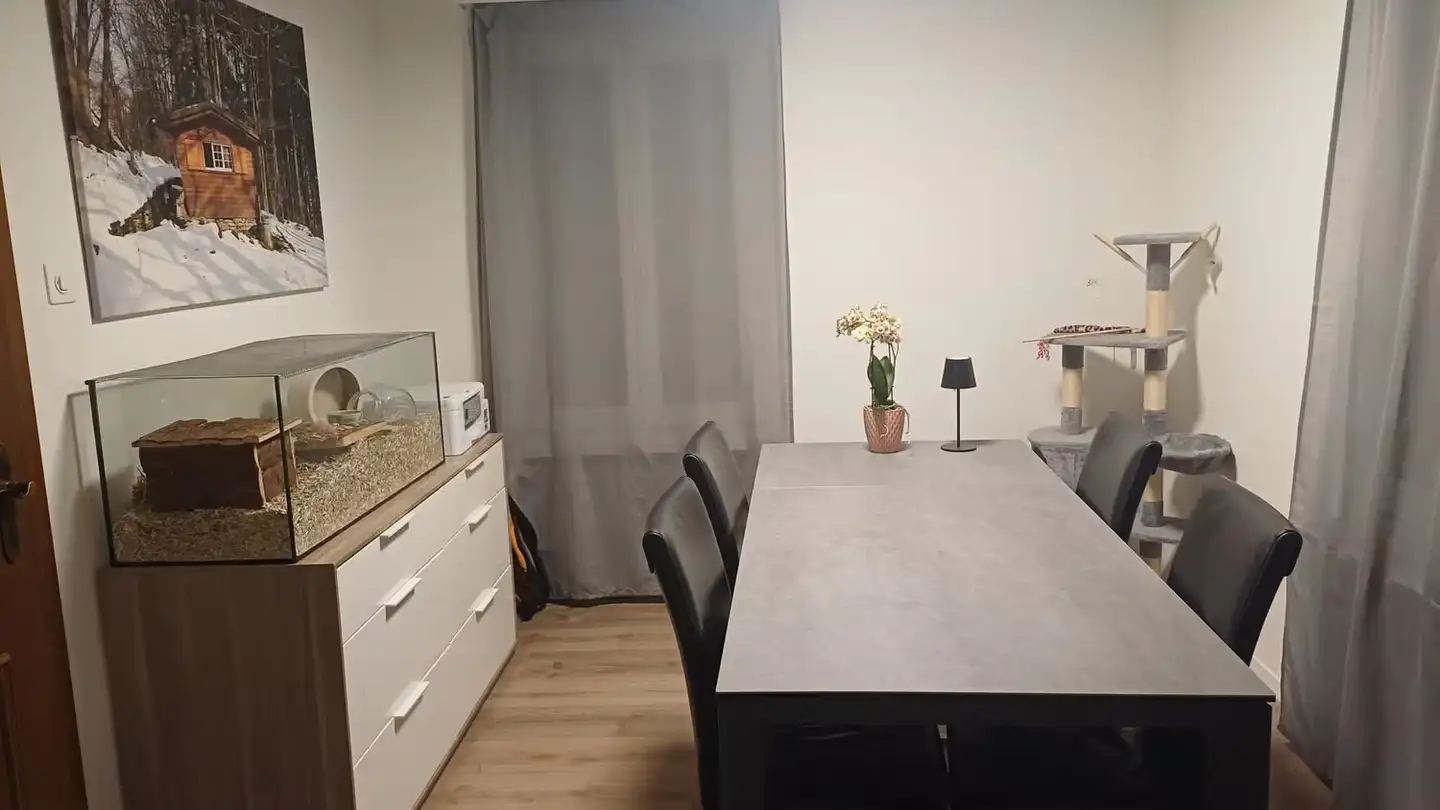 Wohnung mieten - 6415 Arth