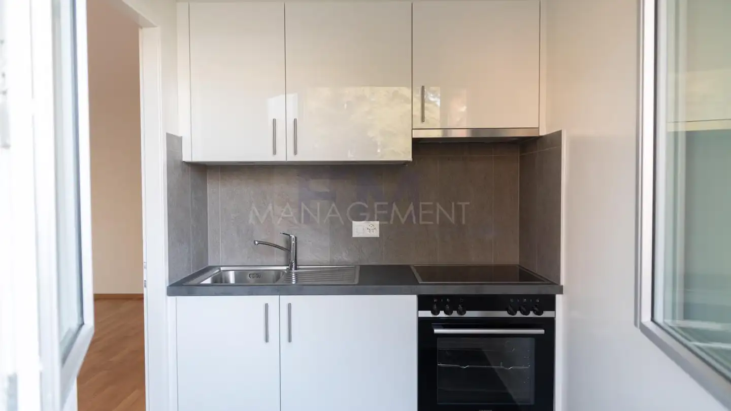Appartamento in affitto - Avenue Petit-Senn, 1225 Chêne-Bourg - Foto 2