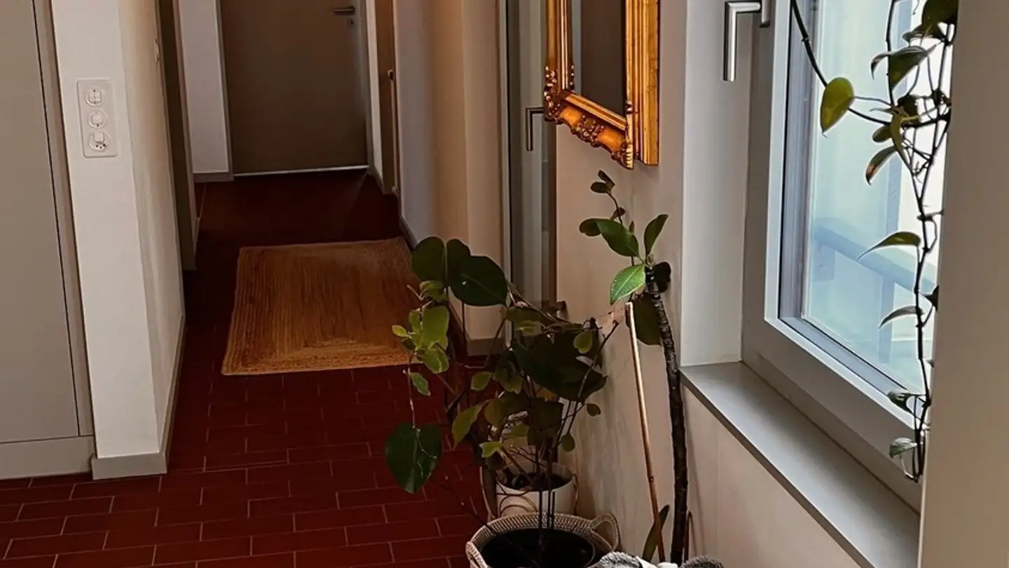 Apartment for rent - 8046 Zürich