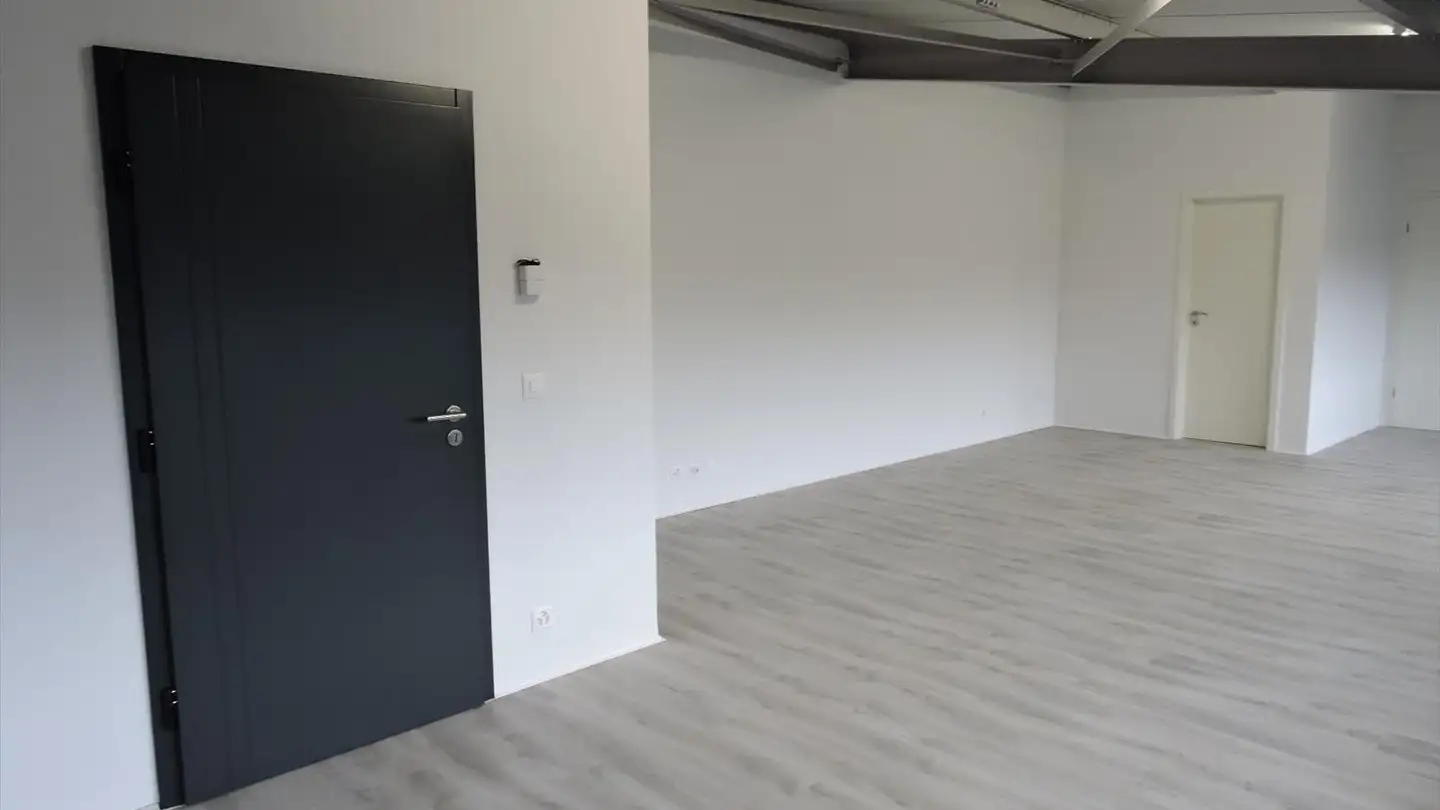 Office space for rent - 1897 Bouveret - Photo 3