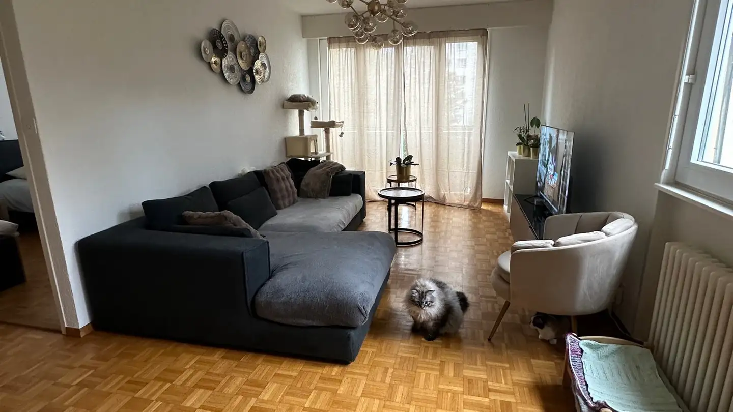 Wohnung mieten - Avenue Du Temple 13c, 1012 Lausanne