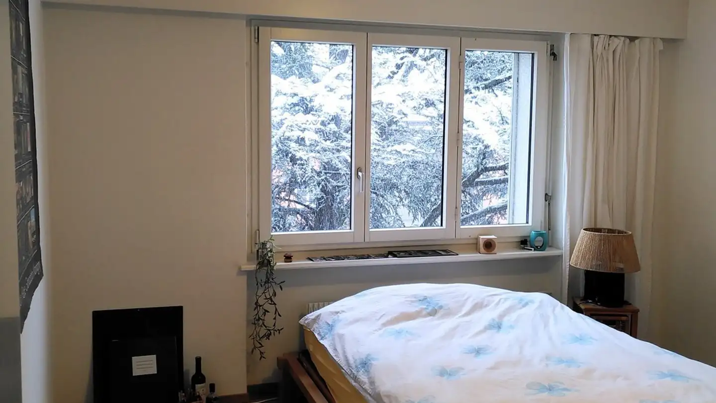 Single room for rent - Lindenhausstrasse, 6003 Luzern - Photo 4