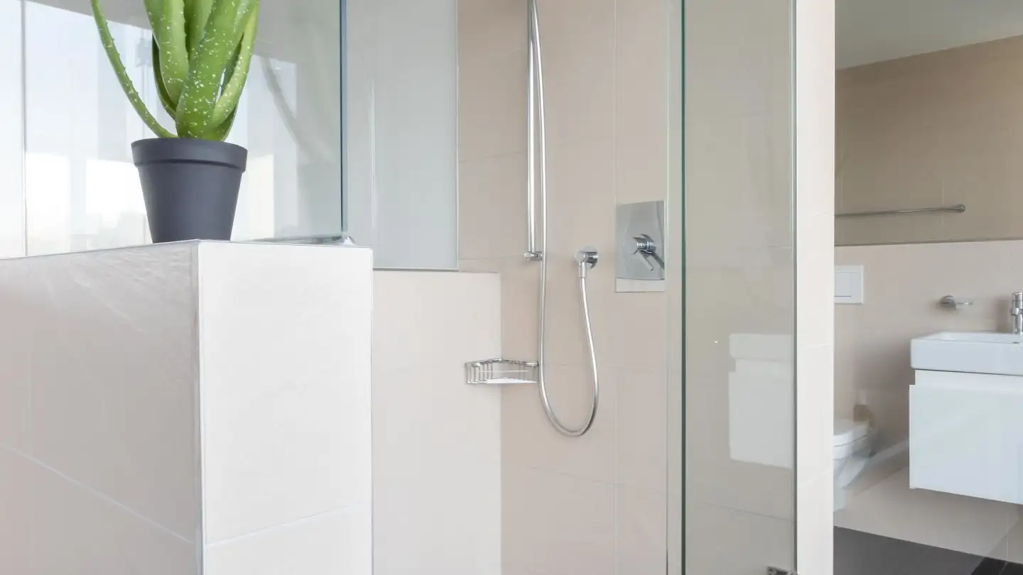 Appartamento in affitto - Hauptstrasse 125, 4102 Binningen - Photo 3