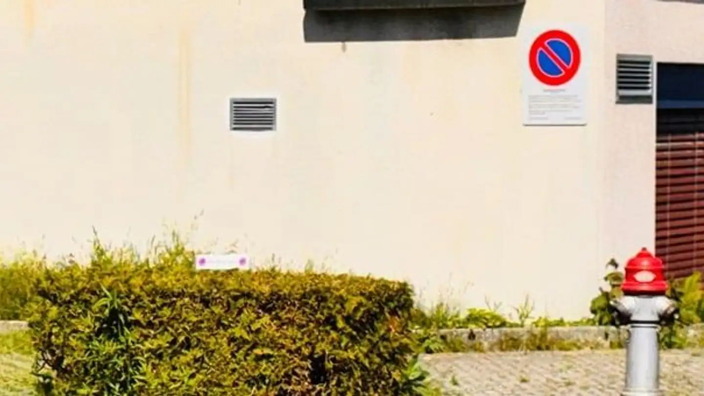 Commerciale in affitto - Bahnhofstrasse 5c, 5734 Reinach AG