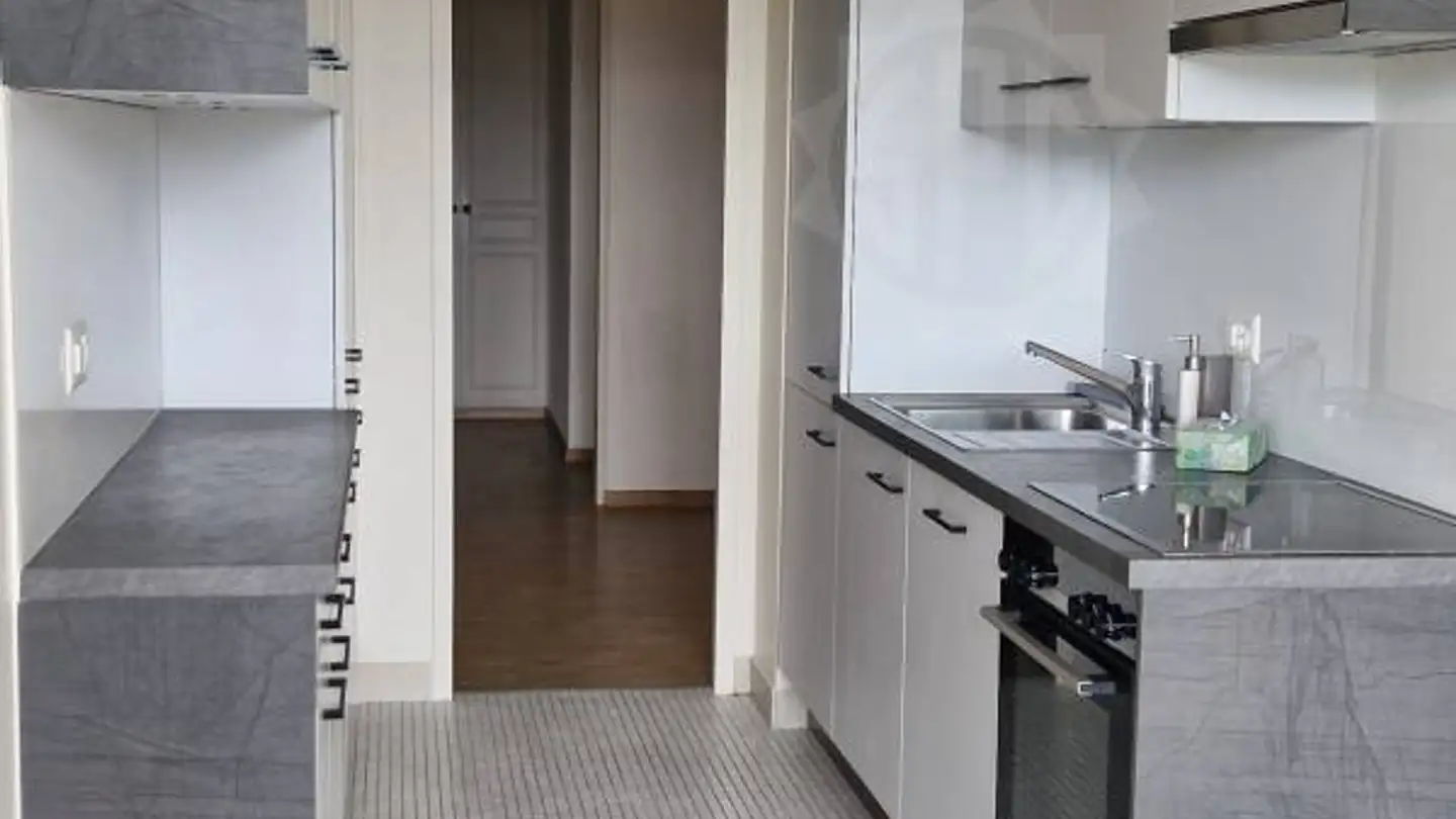 Appartement à louer - Chemin Briquet 20, 1209 Genève - Photo 4