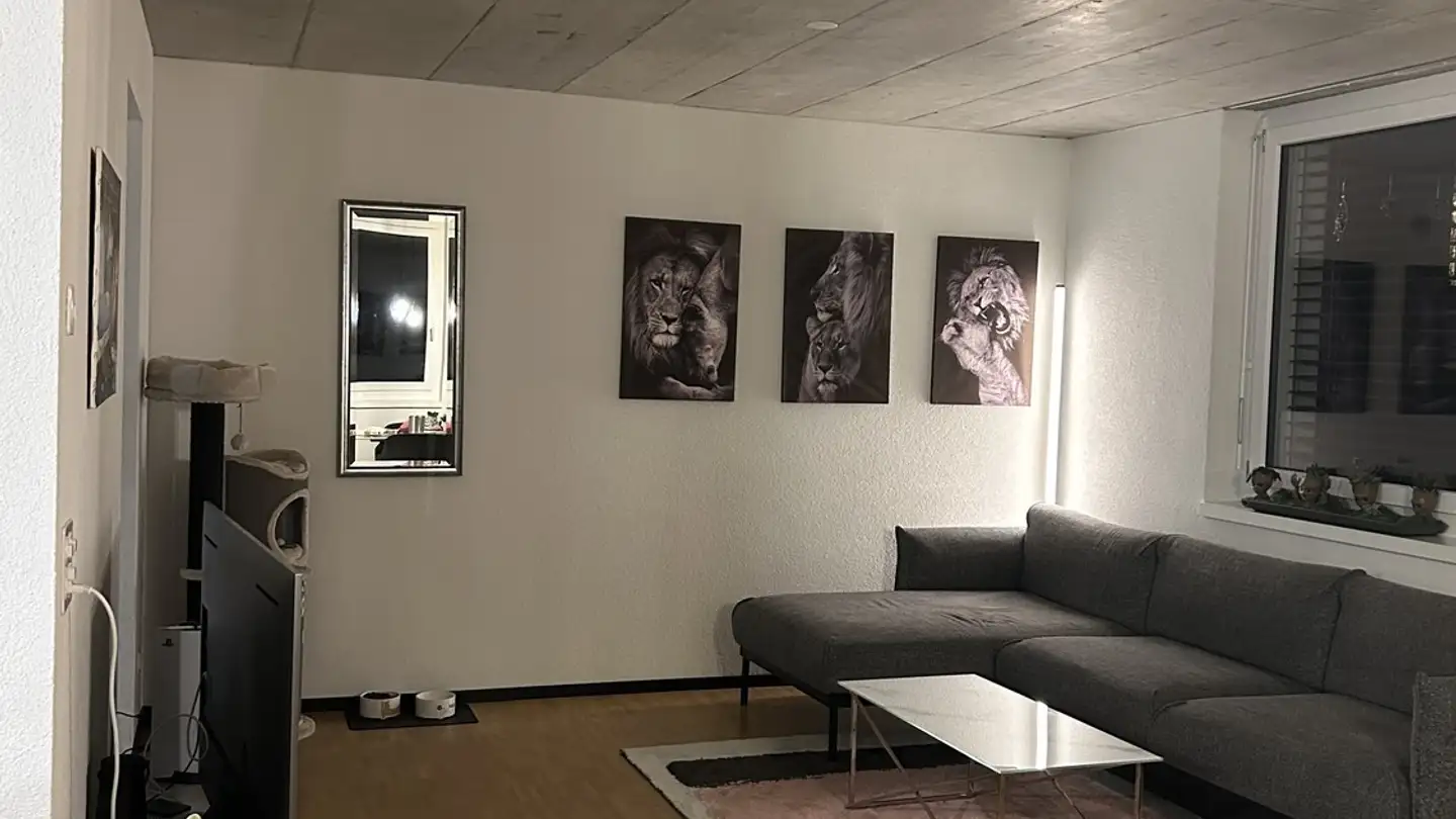 Apartment for rent - Kindergartenweg 2a, 9244 Niederuzwil