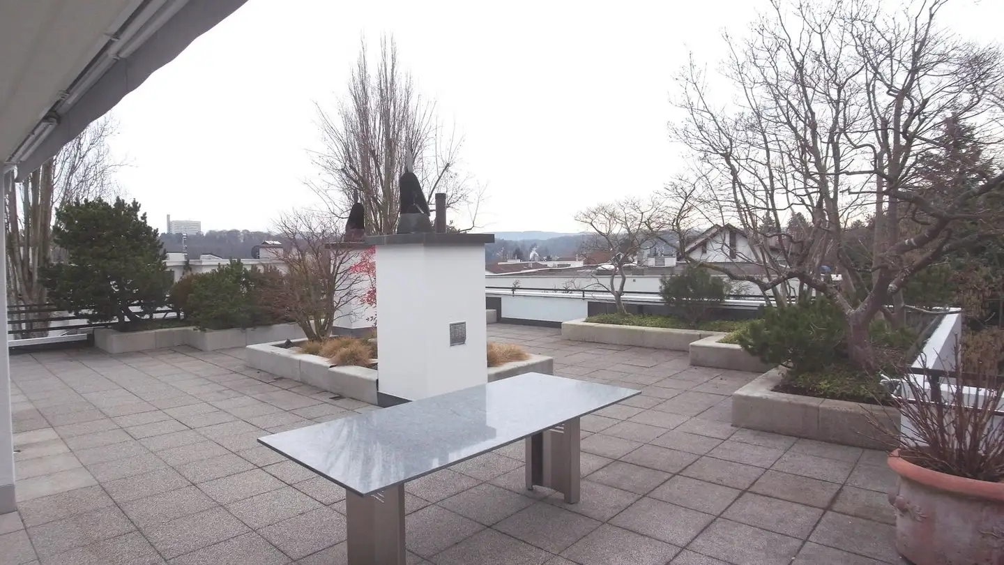 Penthouse for rent - Im Kugelfang 30, 4102 Binningen - Photo 4