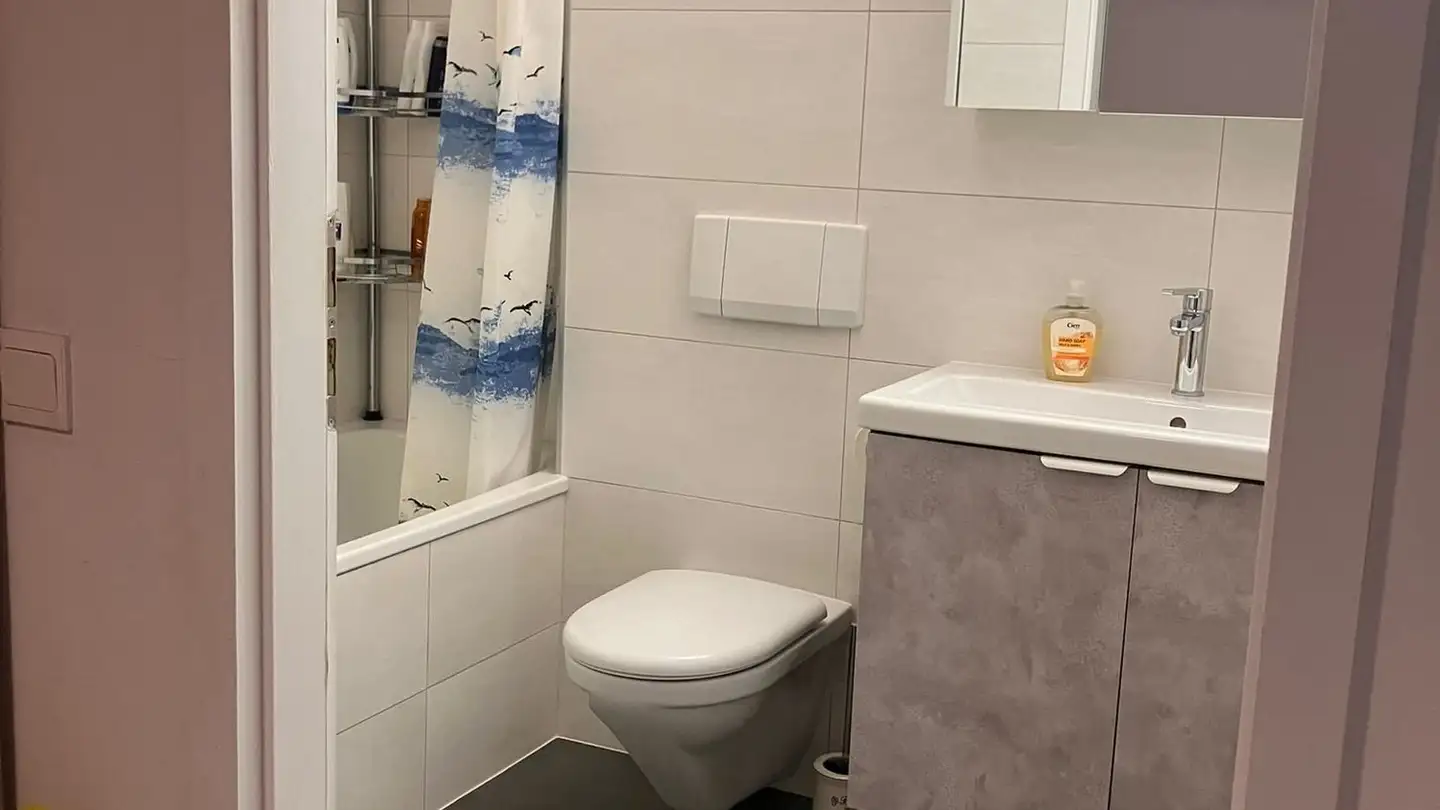 Wohnung kaufen - Chemin De Sur La Croix, 1020 Renens VD - Foto 4