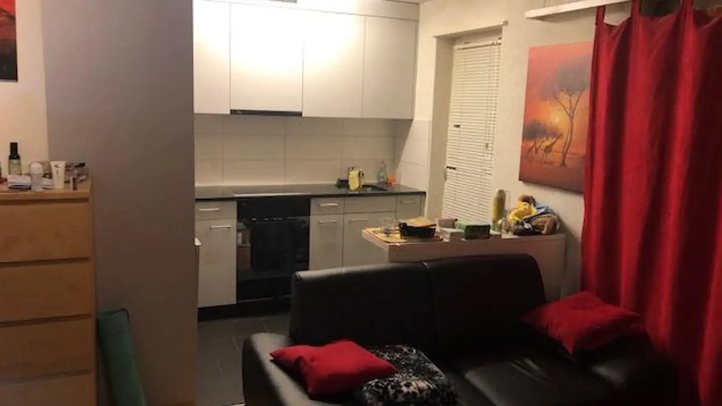 Appartamento in affitto - Steinmürlistrasse 4, 8953 Dietikon