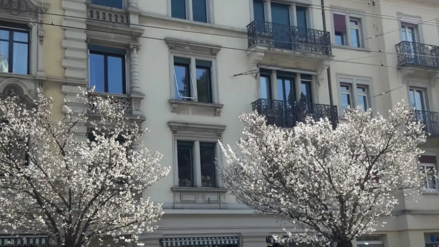 Wohnung mieten - Seestrasse 43, 8002 Zürich