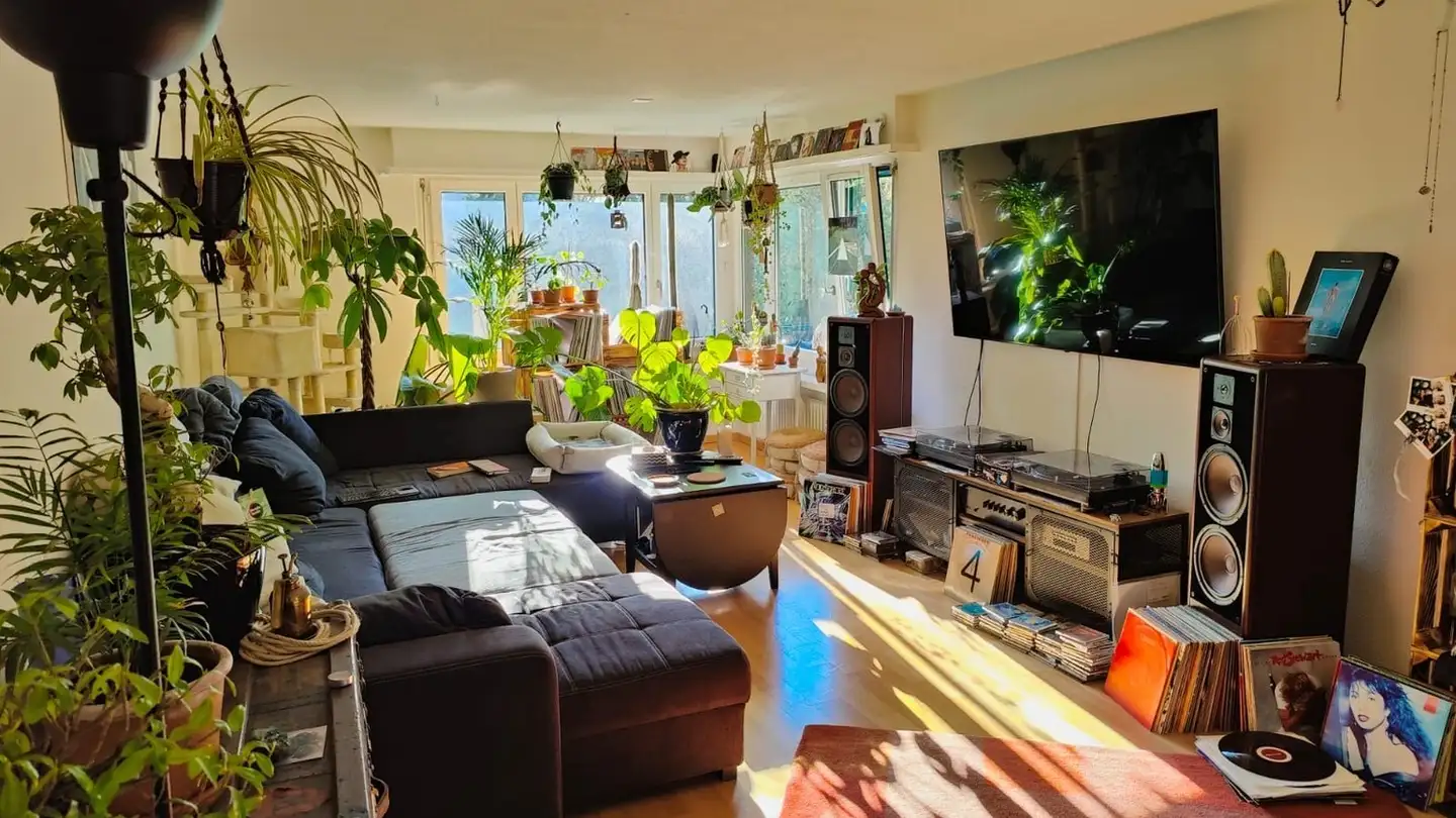 Stanza singola in affitto - 8903 Birmensdorf ZH