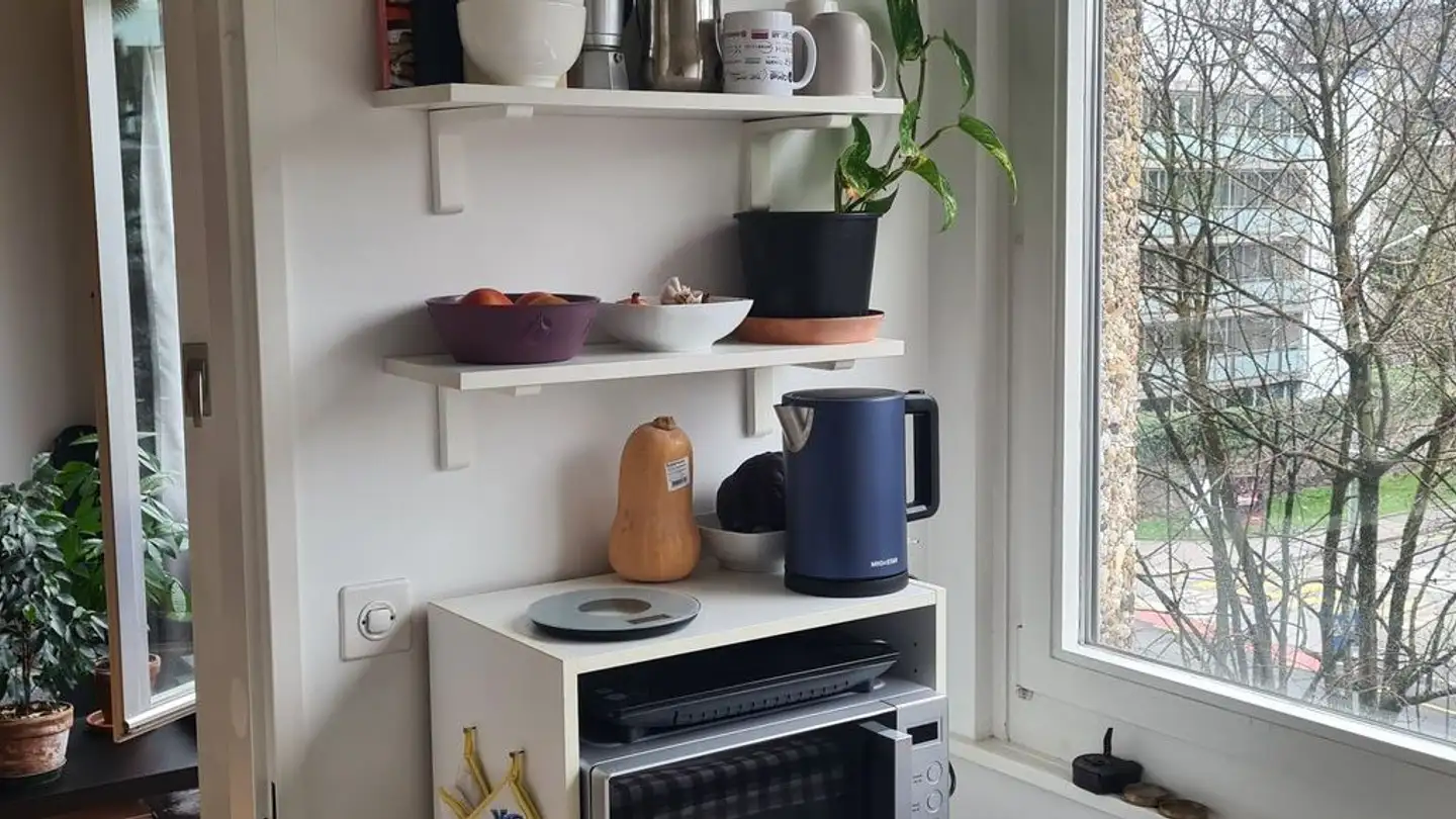 Apartment for rent - Chemin De-Normandie 8, 1206 Genève - Photo 4