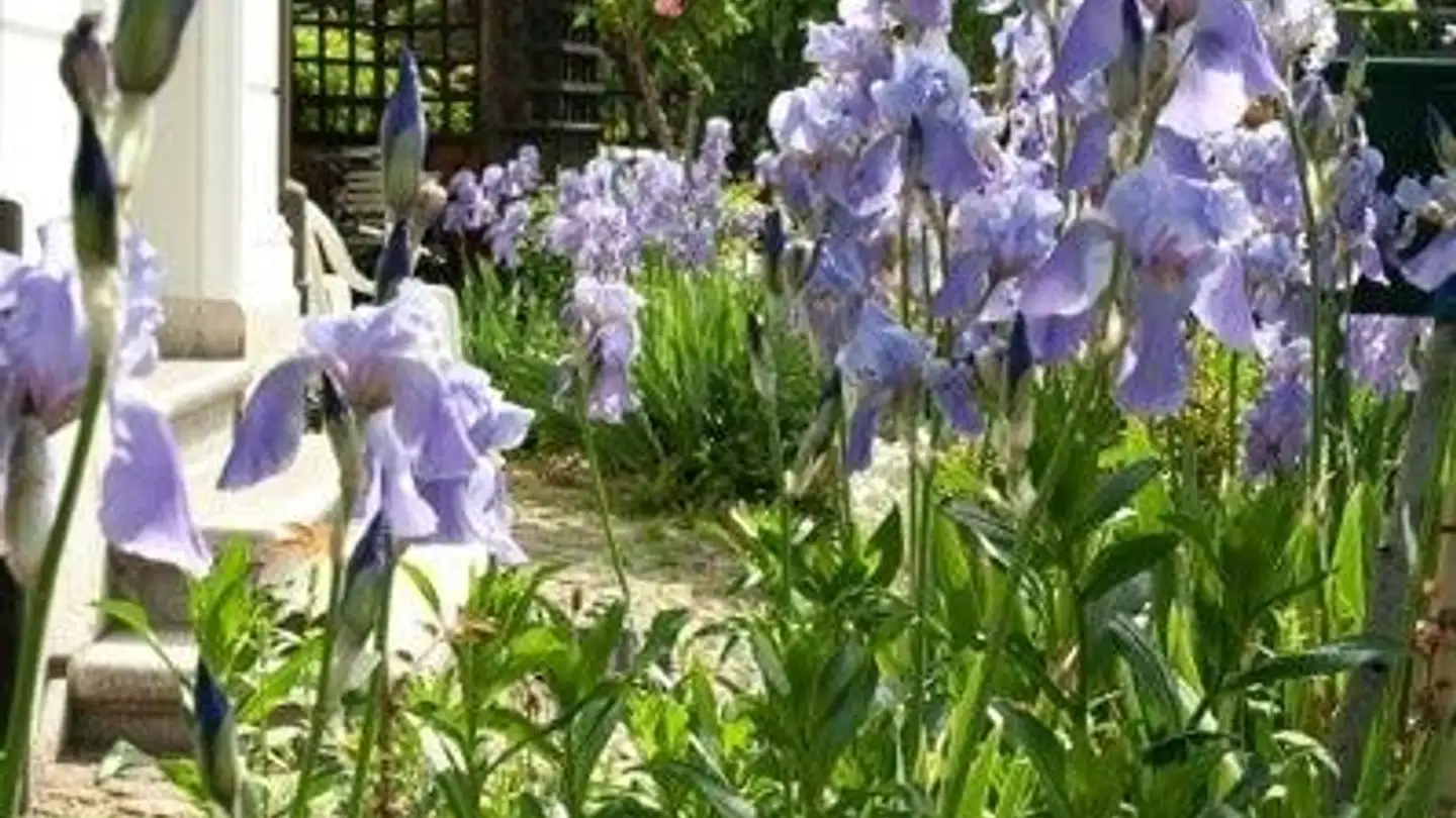 Appartement meublé à louer - 4054 Basel - Photo 2