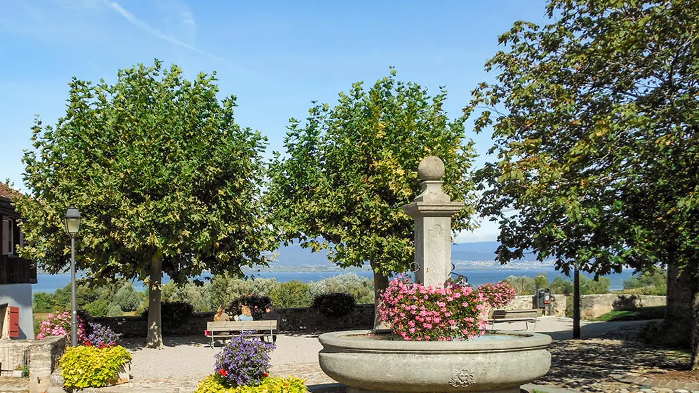 Appartamento in vendita - 1470 Estavayer-le-Lac