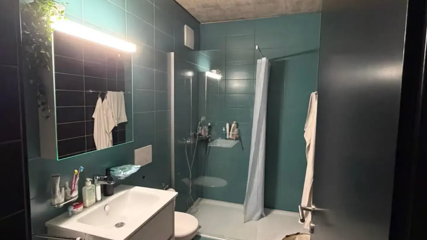 Appartamento in affitto - Via San Gottardo 16, 6500 Bellinzona - Foto 4