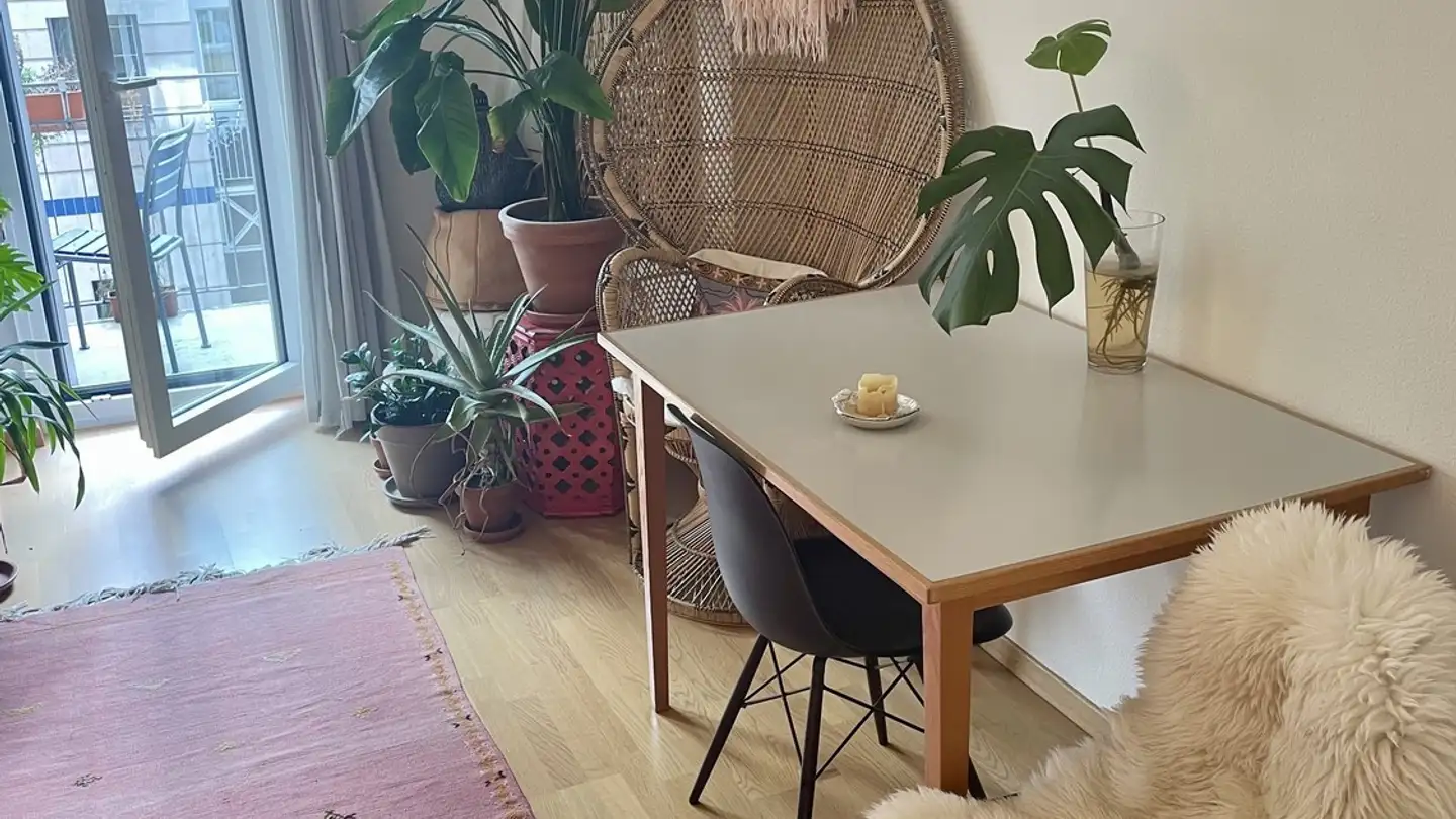 Appartamento in affitto - Hopfenstrasse 6, 8045 Zürich - Foto 3