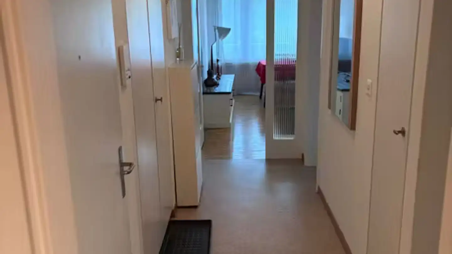 Appartement à louer - Leepüntstrasse, 8600 Dübendorf - Photo 2