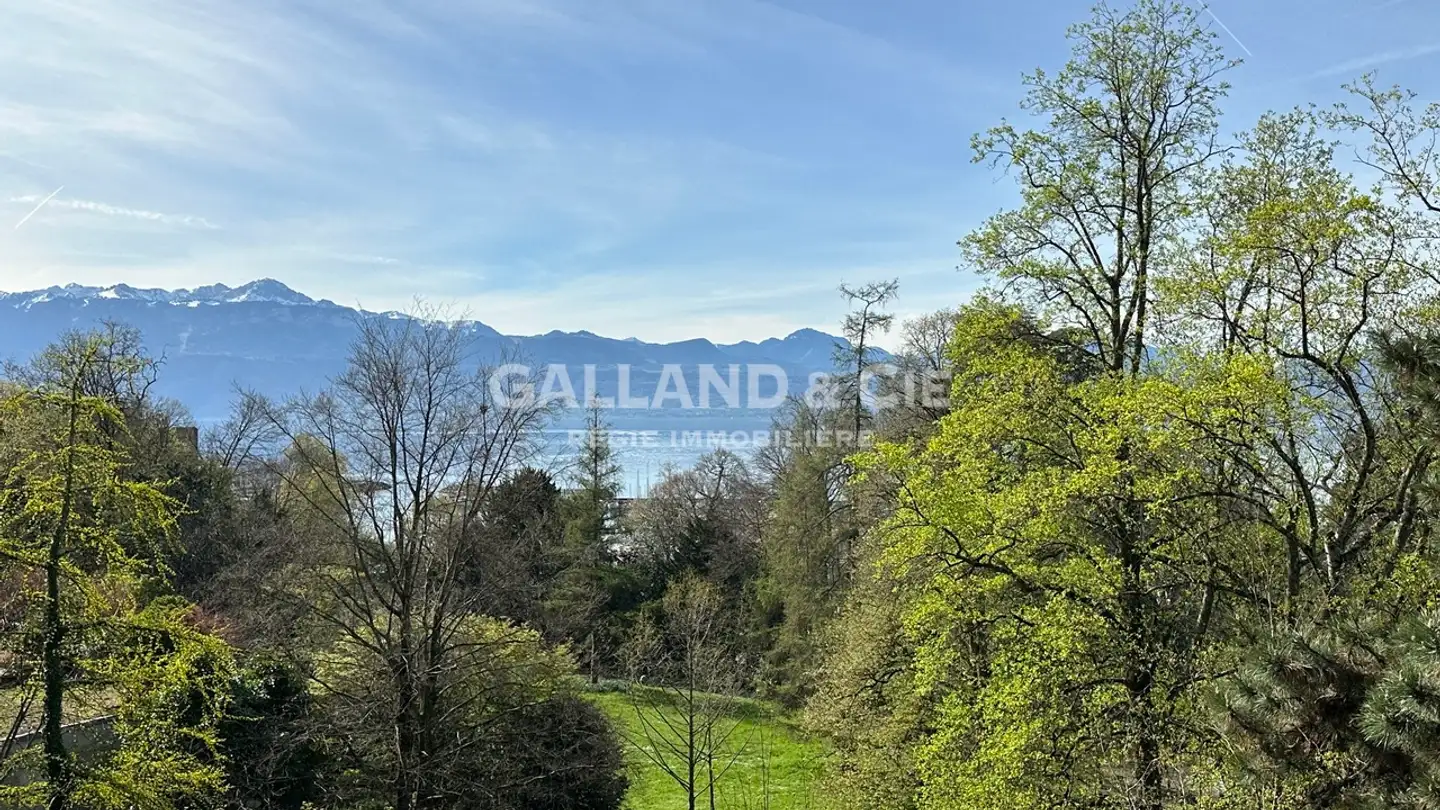 Apartment for sale - 1007 Lausanne - Photo 4