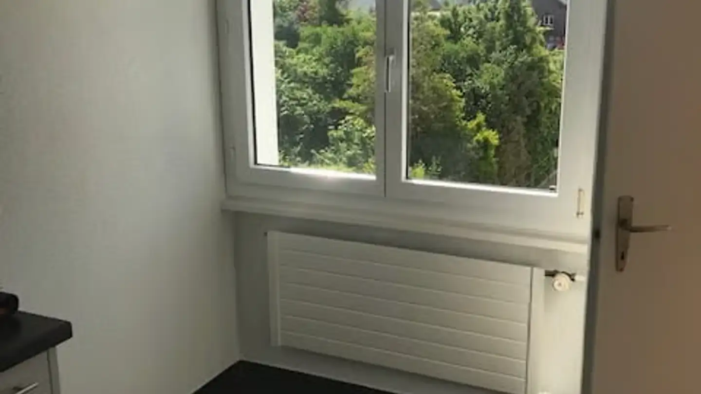 Appartement à louer - Elsterweg 6, 3603 Thun - Photo 3