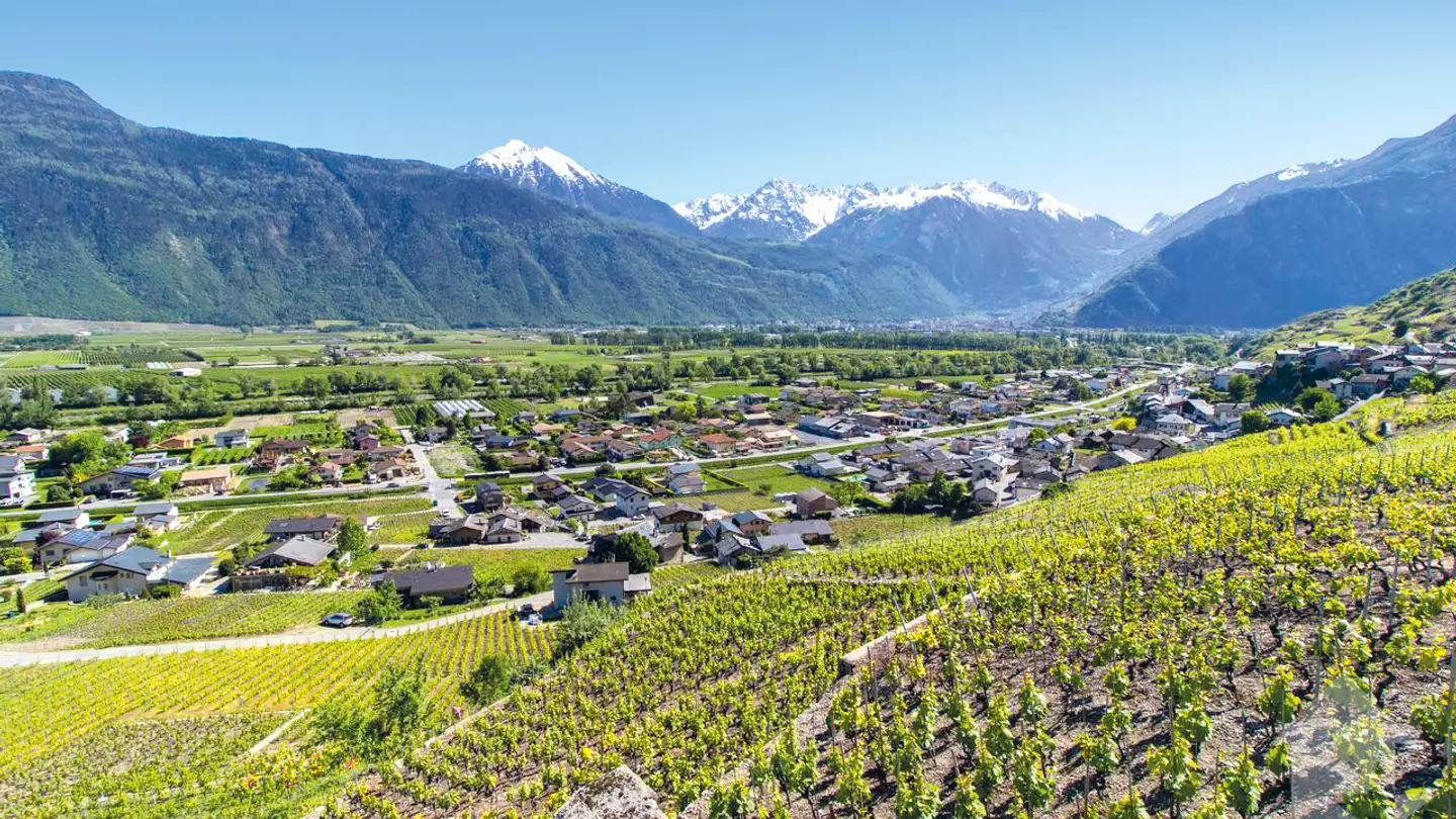 Commercial for sale - 1926 Fully - Photo 3