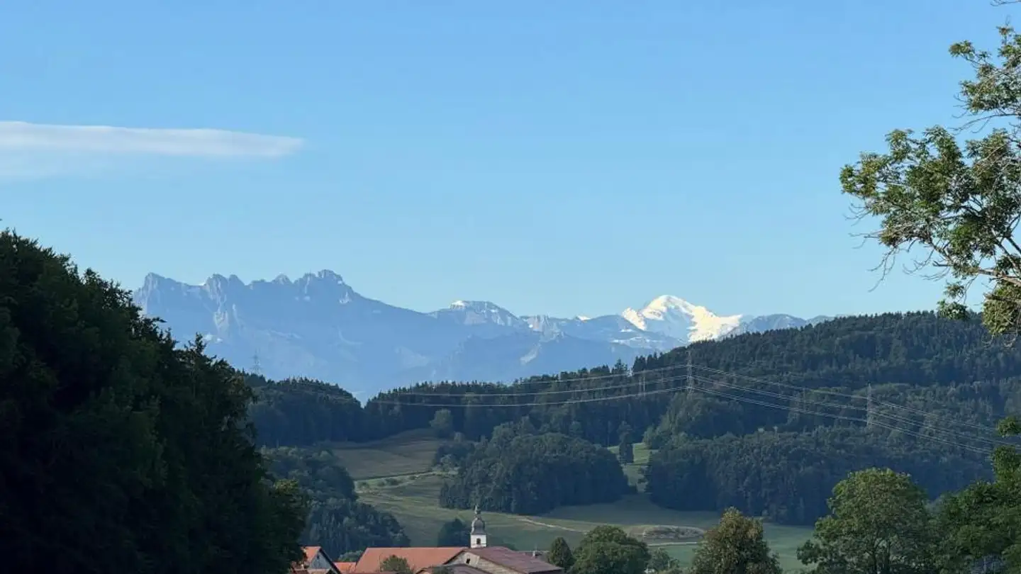 Chalet in vendita - 1617 Remaufens - Photo 3