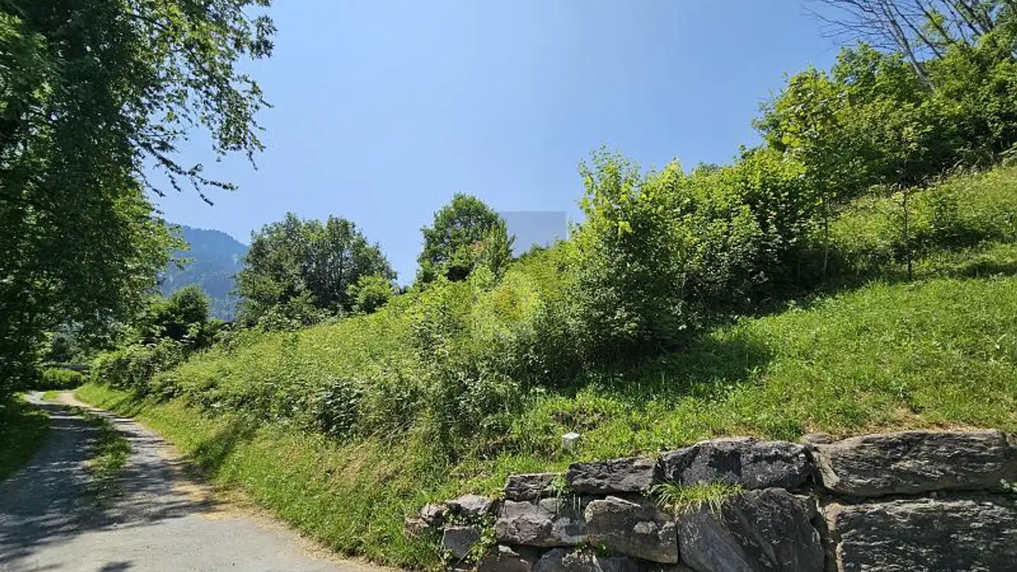 Terreno edificabile in vendita - 1896 Vouvry - Photo 2