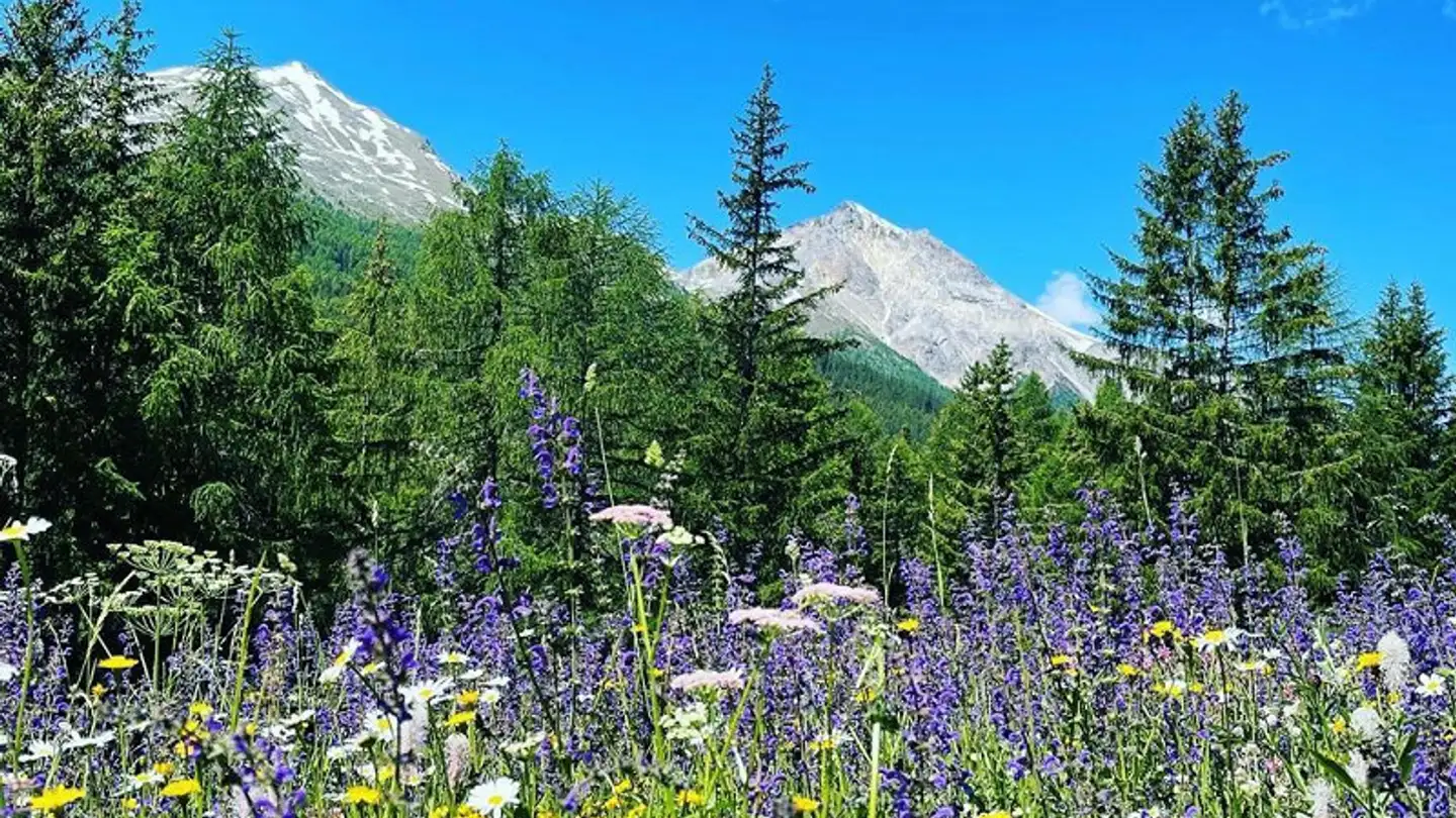 Chalet for sale - 7532 Tschierv - Photo 4