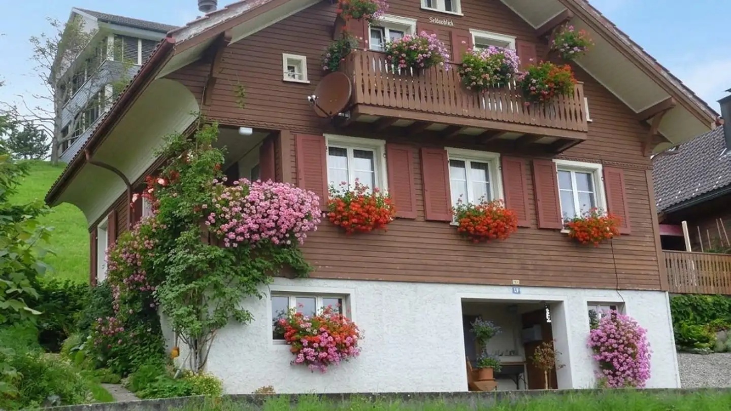 Single house for rent - St. Peterzellerstrasse 19, 9633 Hemberg