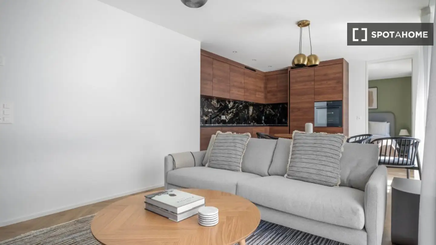 Wohnung mieten - 8055 Zürich