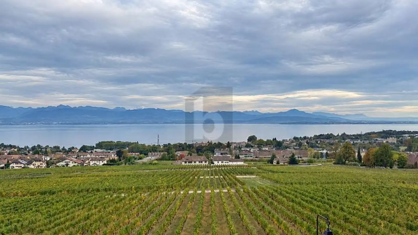 Penthouse mieten - 1185 Mont-sur-Rolle - Foto 2