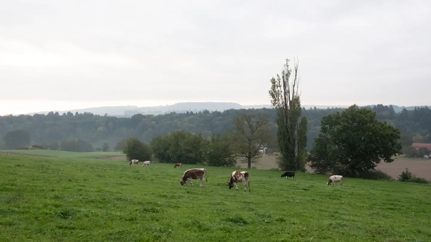 Maison en terrasse à vendre - Route Du Jordil, 1775 Mannens