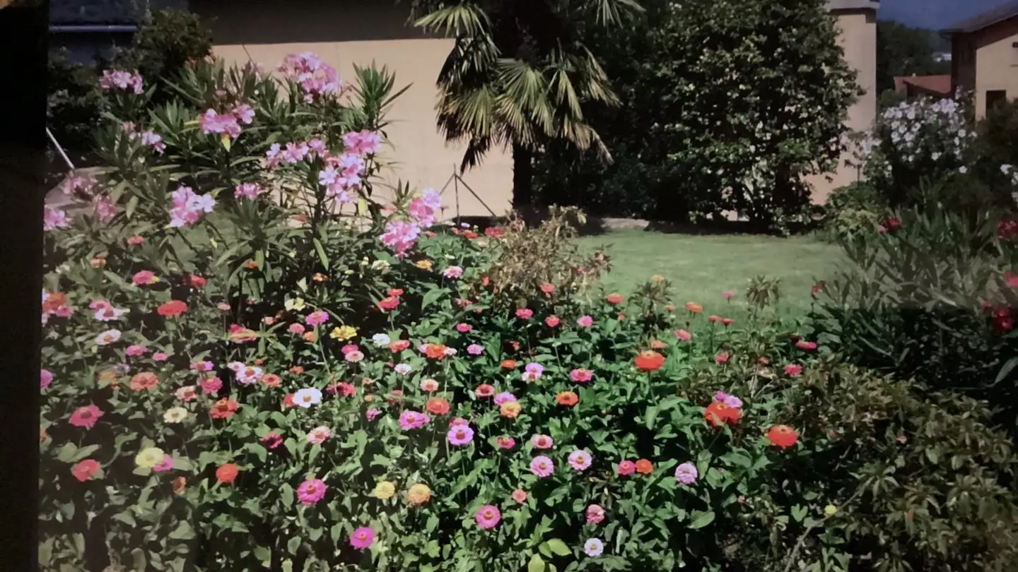 Appartement à louer - Via Orbello 11, 6517 Arbedo - Photo 3