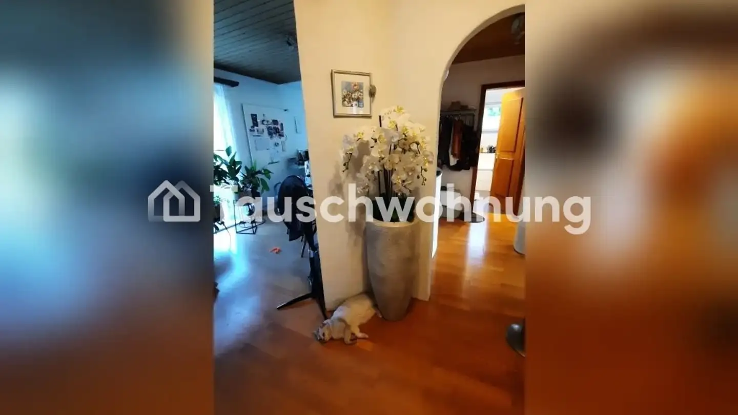 Appartamento in affitto - 8134 Adliswil
