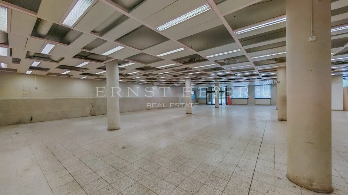 Commerciale in vendita - 1865 Les Diablerets - Foto 2