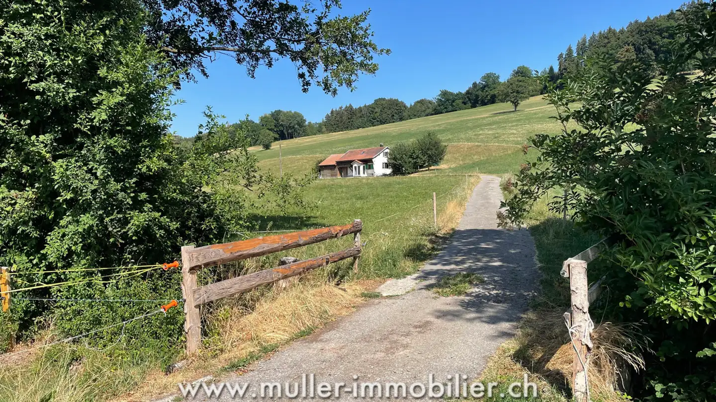Single house for sale - 1676 Chavannes-les-Forts
