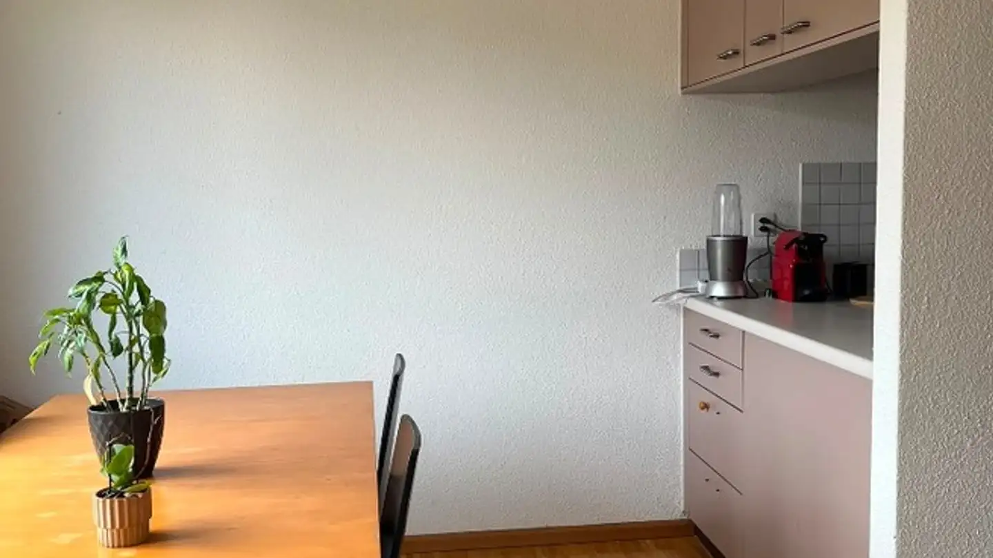 Chambre à louer - Im Talacher 33, 8306 Brüttisellen - Photo 3