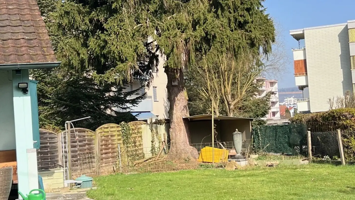 Einfamilienhaus kaufen - Brünishaldenweg, 5610 Wohlen AG - Foto 3