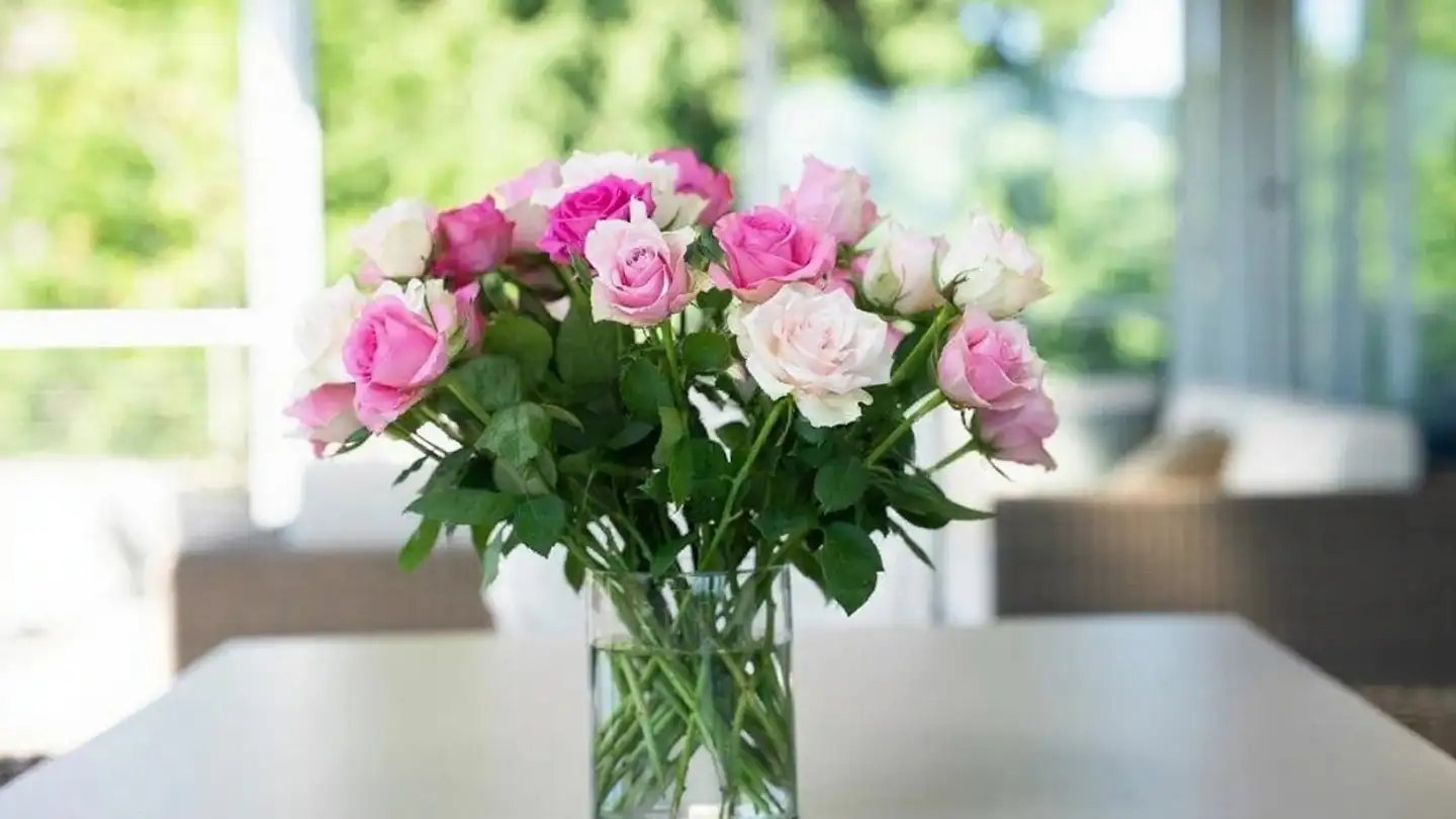 Appartamento in affitto - Ruopigenstrasse, 6015 Luzern - Photo 2