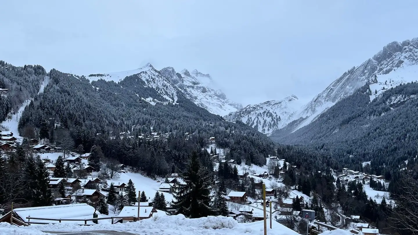 Appartement à louer - 1882 Gryon - Photo 4